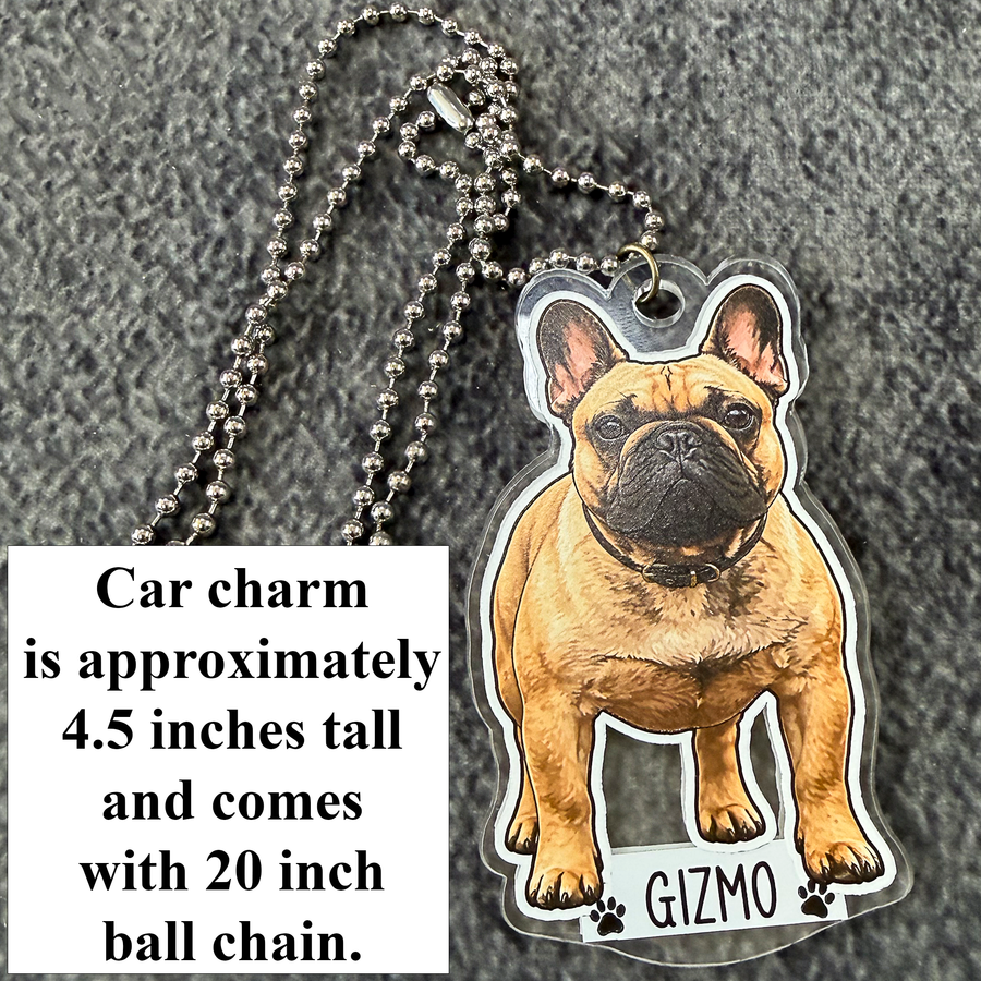 Custom Pet Portrait Gifts – Local Pickup